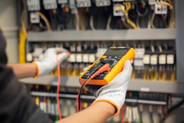 Best Electrical Maintenance Services  in Blooming Prairie, MN